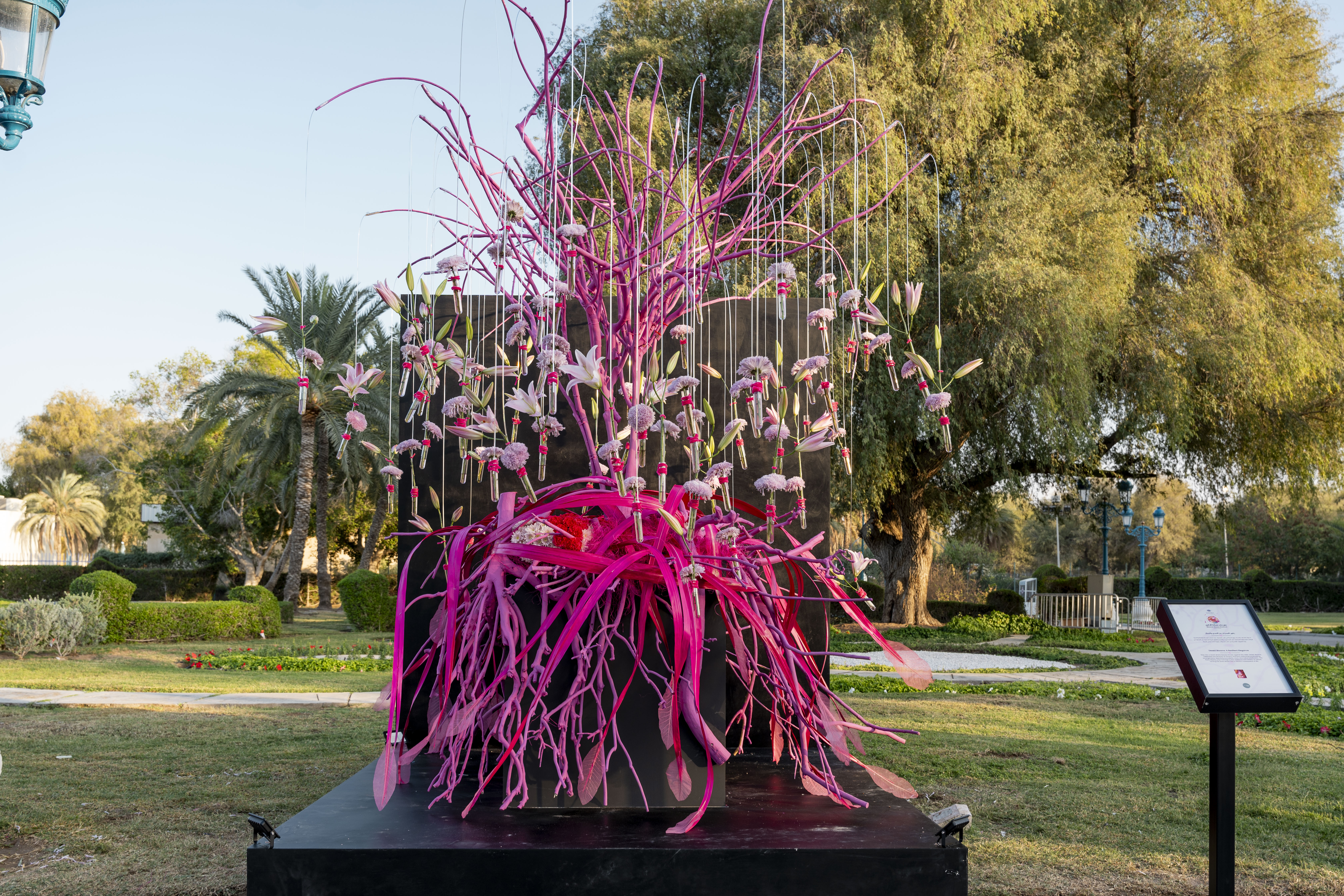 Bloom Oman Display
